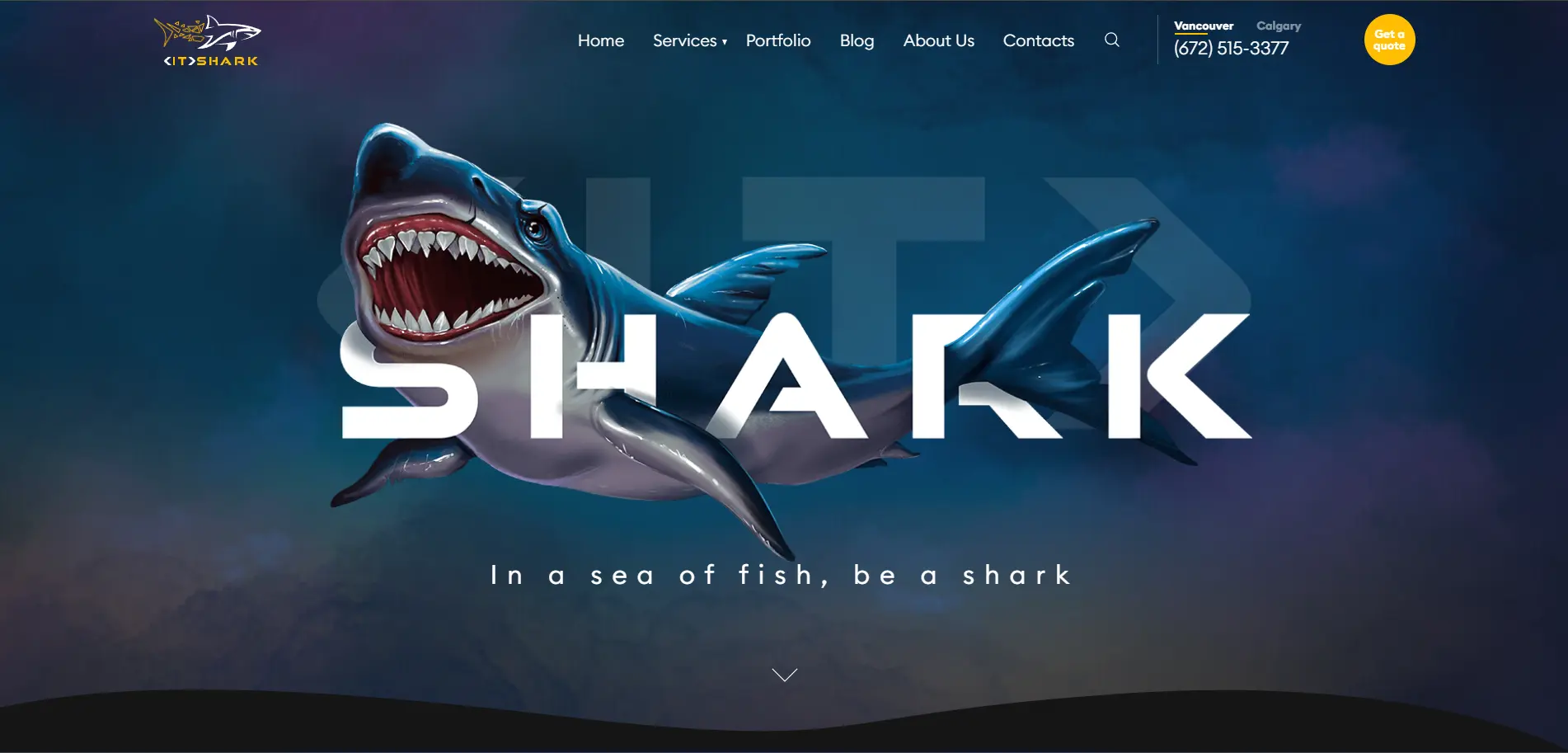 IT Shark website homepage — web design case study